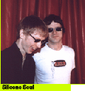 Silicone Soul