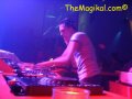 DJ Tiesto (themagikal.com)
