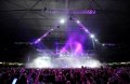 N#:341005 - 