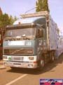 N#:296006 - 