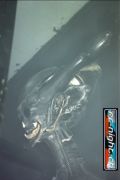 N#:67004 - Alien