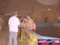 N#:276024 - 
