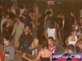 N#:242033 - 